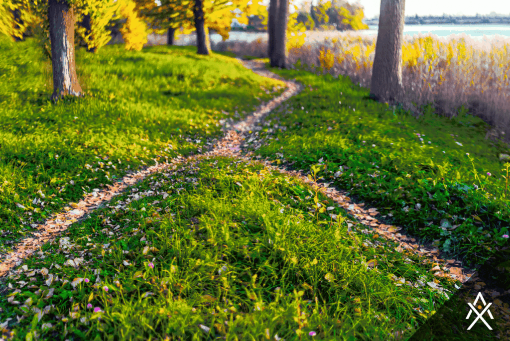 Explore how reliable retirement income planning connects your goals with predictable income strategies designed to support your long term lifestyle.